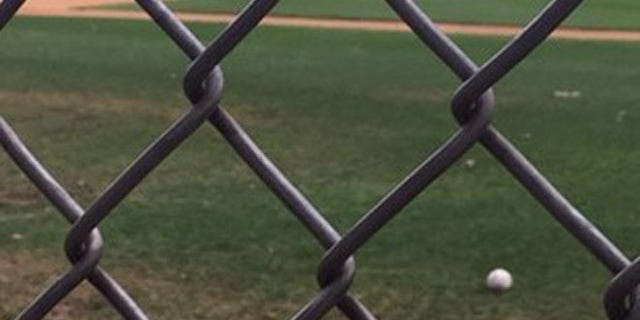 A baseball rests on the Alexandria, Va., field where a congressional baseball practice was attacked.