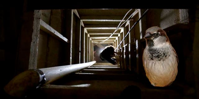 A journalist climbs a ladder to get out of the tunnel that according to authorities, drug lord Joaquin "El Chapo" Guzman used to escape from the Altiplano maximum security prison in Almoloya, west of Mexico City, Tuesday, July 14, 2015. A widespread manhunt that included highway checkpoints, stepped up border security and closure of an international airport failed to turn up any trace of Guzman after he escaped through an underground tunnel in his prison cell on Saturday night. (AP Photo/Eduardo Verdugo)