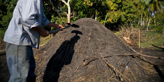 A man prepares artisanal charcoal at a farm on the outskirts of Havana, Cuba, Thursday, Jan. 5, 2017.
