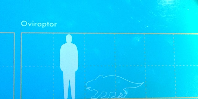 The sign that was labeled incorrectly. Charlie Edwards noticed a mistake at the National History Museum where a dinosaur was labeled wrongly. See Masons copy MNDINO: The National History Museum has changed one of its signs after a ten-year-old boy with Asperger's spotted they were using a picture of the WRONG dinosaur. Bright Charlie Edwards noticed the gaffe while looking at an exhibit of an Oviraptor but was sure the image used was a dinosaur from the Triceratops family. Initially his own parents didn't even believe him - until experts wrote to him apologising for the gaffe, which they've promised to put right.