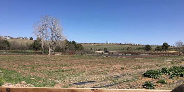A portion of Chatfield Farms at Denver Botanic Gardens where Veterans to Farmers participants learn agriculture skills.