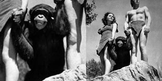 The character of Cheetah, played by a number of chimpanzees over the years, first appeared in “Tarzan the Ape Man” (1932) starring Johnny Weissmuller and Maureen O'Sullivan.
