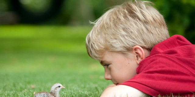 chick and boy