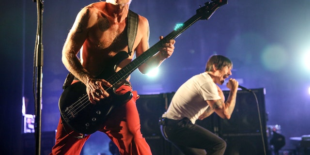 FILE - In this Feb. 5, 2016, file photo, Flea, left, and Anthony Kiedis of the Red Hot Chili Peppers perform at The Theatre at Ace Hotel in Los Angeles. Flea wrote on Instagram July 10, 2016, that his band was mistaken for Metallica at an airport in Belarus and was forced to autograph Metallica items. (Photo by Rich Fury/Invision/AP, File)