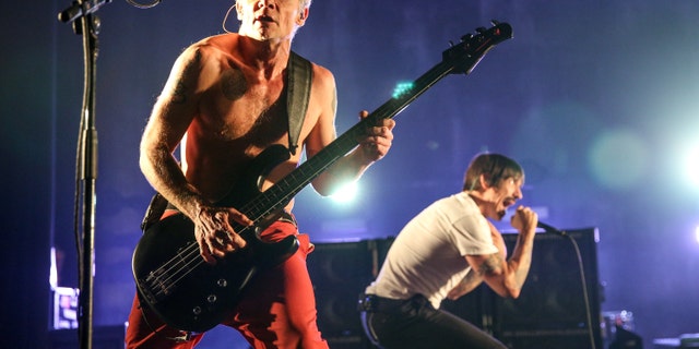 FILE - In this Feb. 5, 2016, file photo, Flea, left, and Anthony Kiedis of the Red Hot Chili Peppers perform at The Theatre at Ace Hotel in Los Angeles. Flea wrote on Instagram July 10, 2016, that his band was mistaken for Metallica at an airport in Belarus and was forced to autograph Metallica items. (Photo by Rich Fury/Invision/AP, File)
