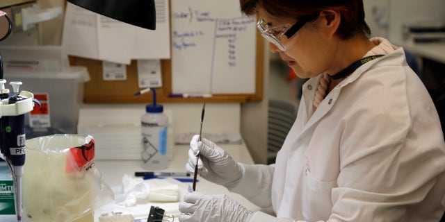 Microbiologist Mi Kang works to identify a strain of E. coli from a specimen in a lab at the Washington State Dept. of Health Tuesday, Nov. 3, 2015, in Shoreline, Wash. (AP Photo/Elaine Thompson)