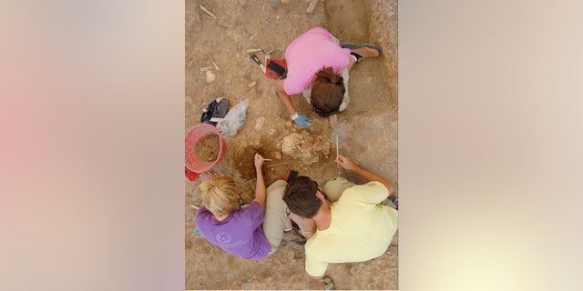 Students excavate bones at the Badia Pozzeveri cemetery in Tuscany, Italy.