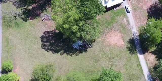 The FAA said the helicopter's tail hit a tree before it spiraled out of control and crashed.