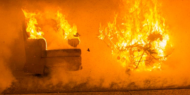 In this Tuesday, Nov. 29, 2016 photo flames engulf the wall and ceiling of a room as well as items in the room thirty-five seconds into the ignition of a Christmas tree during a test burn by the fire protection engineering lab at the Worcester Polytechnic Institute, in Worcester, Mass.