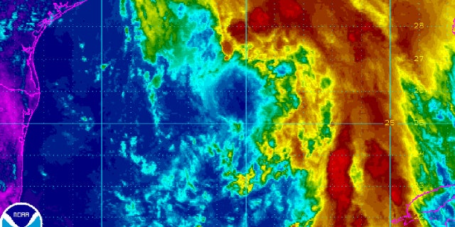 A radar image showing the location of Tropical Storm Cindy.