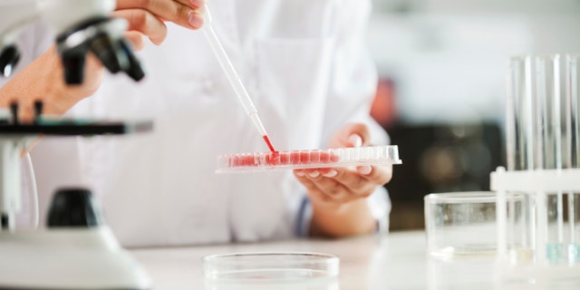 Close-up of female scientist in white uniform holding microtiter plate while working in the laboratory