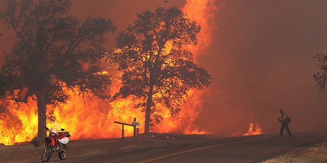 Sept. 9, 2013: A firefighter works the Clover Fire in Anderson, Calif., on Gas Point Road. The fire destroyed at least 20 buildings and burned more than 6,700 acres by Monday night. (AP/The Record Searchlight, Andreas Fuhrmann)