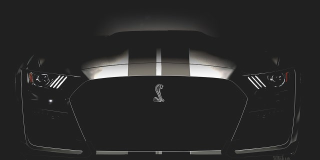 581fd8b4-cobra