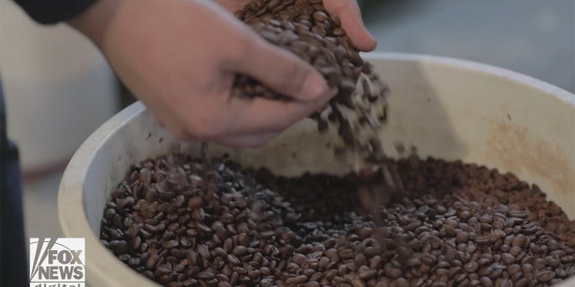 If you don't start with freshly roasted beans, you're off to a bad start, says Nieto.