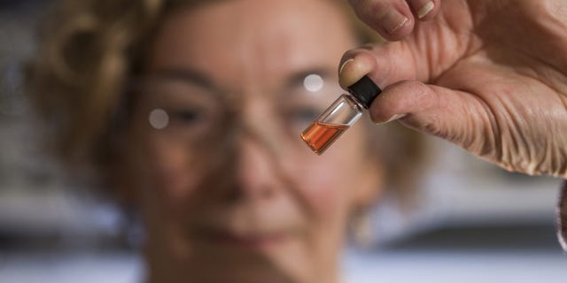 Biogeochemistry Lab Manager Janet Hope from the ANU Research School of Earth Sciences holds a vial of pink colored porphyrins representing the oldest intact pigments in the world. (Credit: ANU)