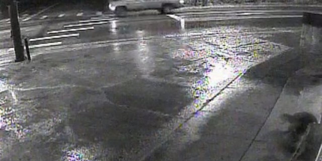Investigators say this pickup truck was involved in the June 3 shooting death.