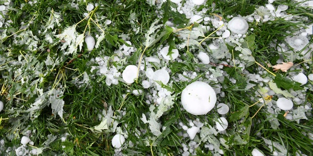 Hail the size of baseballs lie on the ground near The Broadmoor Hotel in Colorado Springs, Colo., after a storm hit parts of El Paso County, Monday, Aug. 6, 2018.
