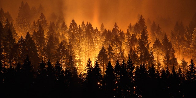 The Eagle Creek wildfire burned 75 square miles in September 2017.