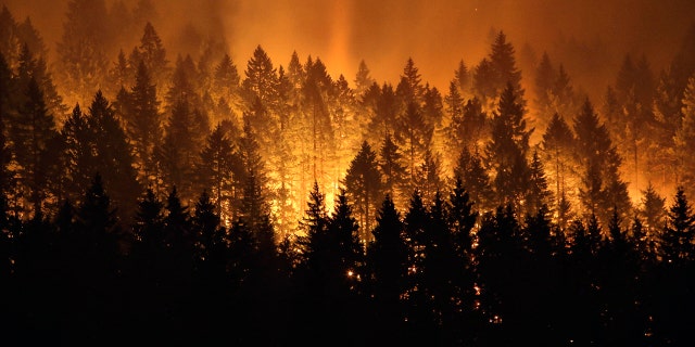 The Eagle Creek wildfire burned 75 square miles in September 2017.