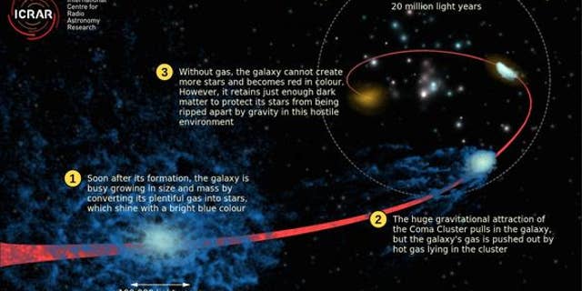 This graphic depicts the "quenching" process, showing how a normal star-forming galaxy (in blue), loses its gas while falling into the Coma galaxy cluster.