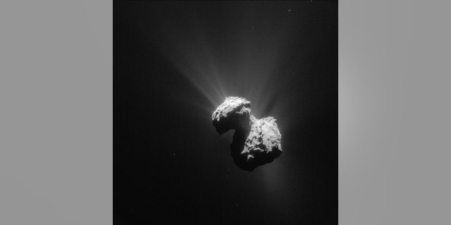 This single frame Rosetta navigation camera image of Comet 67P/Churyumov-Gerasimenko was taken on 7 July 2015 from a distance of 154 km from the comet centre. The image has a resolution of 13.1 m/pixel and measures 13.4 km across.