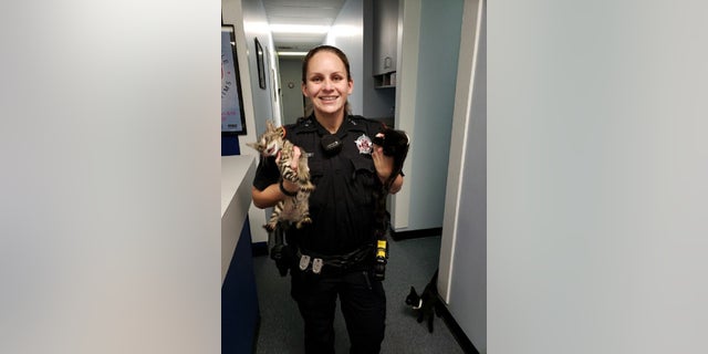 A Texas deputy found several kittens in a gym bag last week, according to the Harris County Constable's Office Precinct 5.
