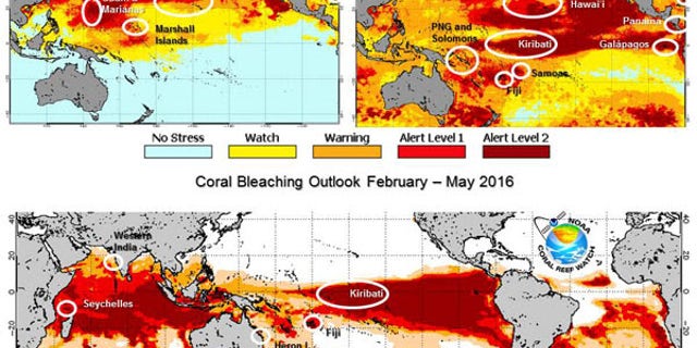 A comparison of coral bleaching in the Pacific from 2014 to 2015 (top) and the current outlook for May 2016 (bottom).