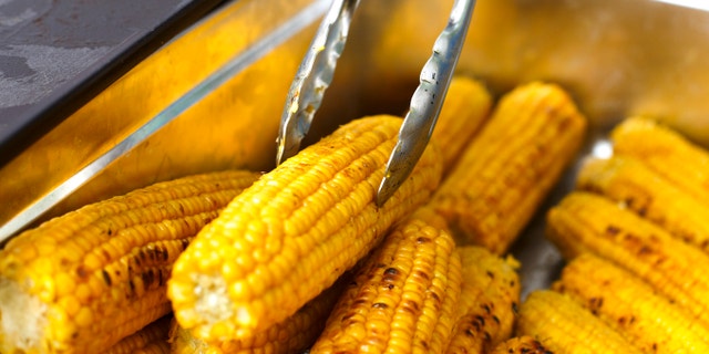 Vegan bbq party. Barbecue corns outdoors. Cookout bbq vegetable food. Fresh organic, healthy vegetarian grilled snack, corncobs cooked on grill. Street food, fast food. Tasty natural food.