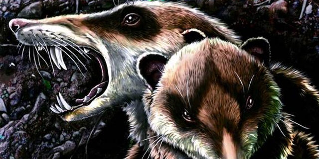 An illustration of the saber-toothed squirrel-like mammal known as Cronopio dentiacutus reveals the creature's striking resemblance to Scrat in the film "Ice Age."