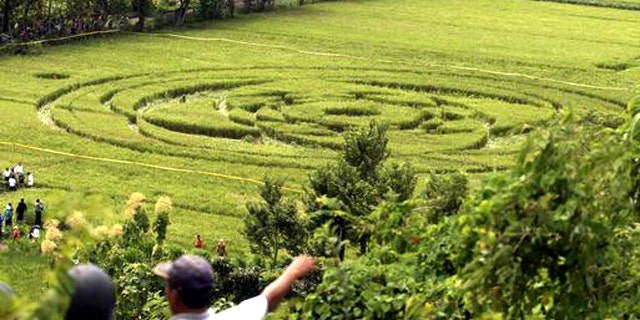 People watch a 70-meter-wide crop-circle that appeared recently in a rice field in Indonesia. Could physics have the explanation?