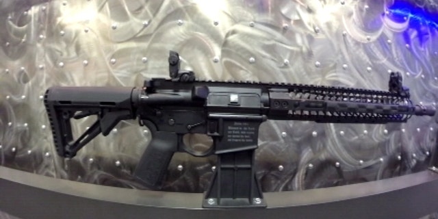 Photo shows the new Crusader AR-15 weapon from Spike's Tactical.(WOFL-TV)