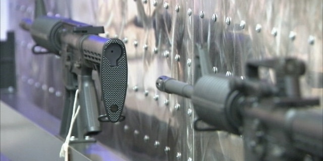 Photo shows Spike's Tactical new Crusader AR-15 rifle.(WOFL-TV)