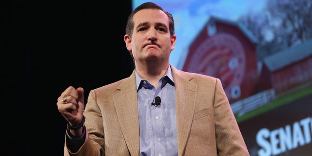 DES MOINES, IA - JANUARY 24: U.S. Sen. Ted Cruz (R-TX) speaks to guests at the Iowa Freedom Summit on January 24, 2015 in Des Moines, Iowa. The summit is hosting a group of potential 2016 Republican presidential candidates to discuss core conservative principles ahead of the January 2016 Iowa Caucuses. (Photo by Scott Olson/Getty Images)