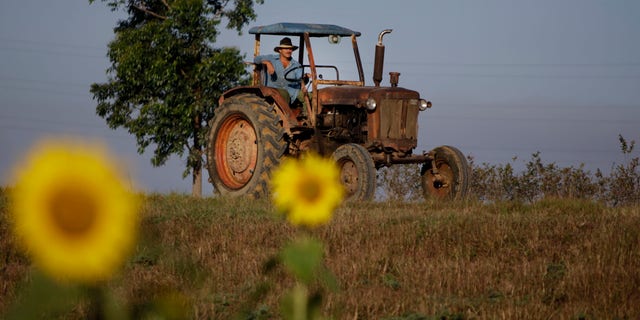 Feb. 22, 2011: A farmer drives his tractor in Pinar del Rio, Cuba.