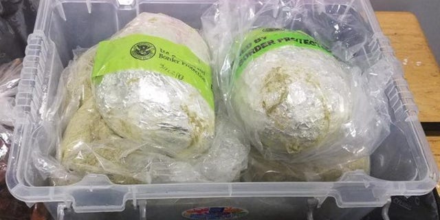 Emma Soriano, 61, was reportedly taken into custody Sunday at John F. Kennedy International Airport after investigators discovered she was smuggling heroin.