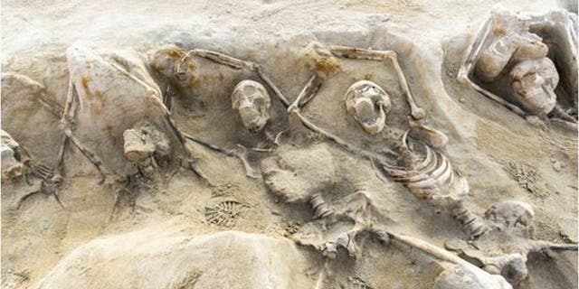 A mass grave found outside of Athens may contain the burial of followers of Cylon, a tyrant who sought to take over the Acropolis in 632 B.C.