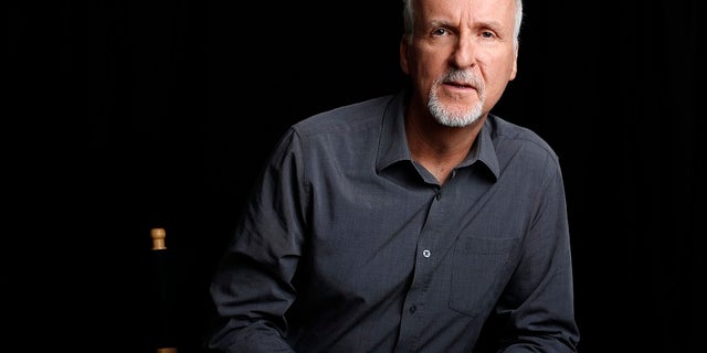 Director James Cameron poses for a portrait in Manhattan Beach, California April 8, 2014. Cameron, best known as director of blockbuster films "Titanic" and "Avatar", has appealed to well-known Hollywood actors to act as correspondents for new Showtime documentary "Years of Living Dangerously", which chronicles the human impact on the global climate and the consequences for humans of climate change. Picture taken April 8, 2014. To match story TELEVISION-CLIMATECHANGE/ REUTERS/Lucy Nicholson (UNITED STATES - Tags: ENTERTAINMENT ENVIRONMENT PROFILE PORTRAIT) - RTR3KPAJ