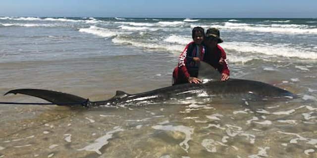 Hernandez said he has shark fished for 3 years.