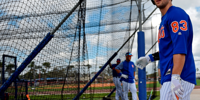 The Mets announced in January that Tim Tebow was one of nine players invited to its spring training in Florida.