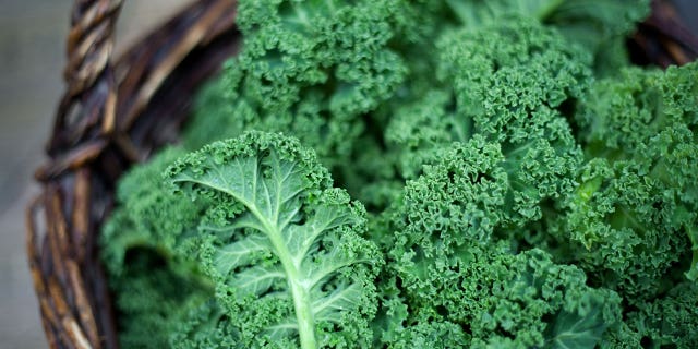 Kale vegetable