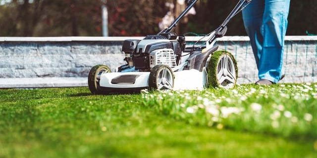 Are you mowing your lawn wrong? Follow these tips for optimal lawn maintenance.