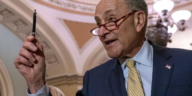 Sen. Chuck Schumer has vowed to "fight Donald Trump all the way, in every way.”