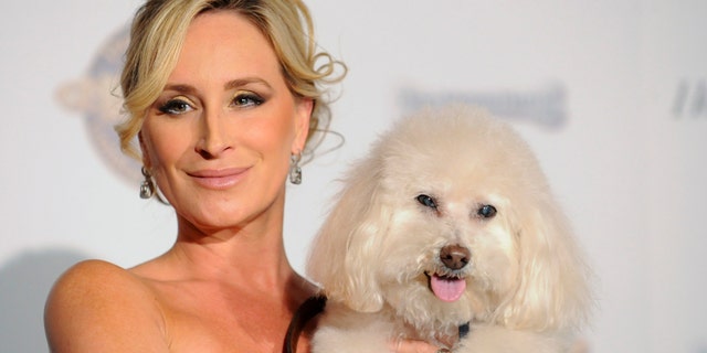 "Real Housewives of New York" star Sonja Morgan and her dog Millou arrive at the first annual Golden Collar Awards celebrating Hollywood's most talented canine thespians from Oscar nominated films and Emmy Award winning television shows in Los Angeles, California February 13, 2012.