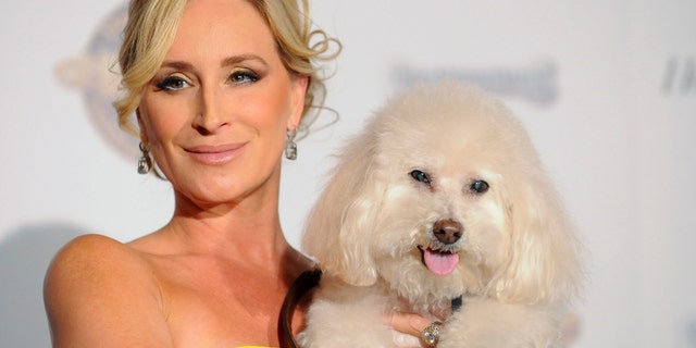 "Real Housewives of New York" star Sonja Morgan and her dog Millou arrive at the first annual Golden Collar Awards celebrating Hollywood's most talented canine thespians from Oscar nominated films and Emmy Award winning television shows in Los Angeles, California February 13, 2012.
