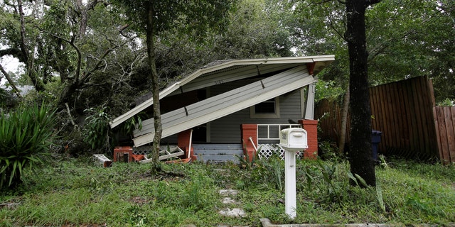 mon irma 09