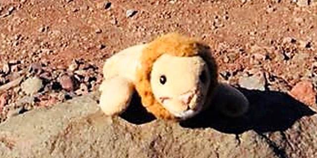 small stuffed lion toy