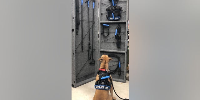 Dallas has been in training since the end of August.