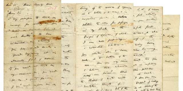 The Darwin letter set to be auctioned off Thursday. (Nate D. Sanders Auctions)