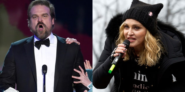 David Harbour, left, and Madonna have both made headlines for speaking out against President Trump.