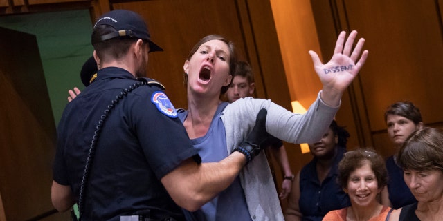 A protester disrupts the proceedings as President Donald Trump's Supreme Court nominee, Brett Kavanaugh, appears before the Senate Judiciary Committee for the second day of his confirmation hearing, on Capitol Hill in Washington, Wednesday, Sept. 5, 2018.